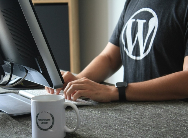 Wordpress best solution for your Business